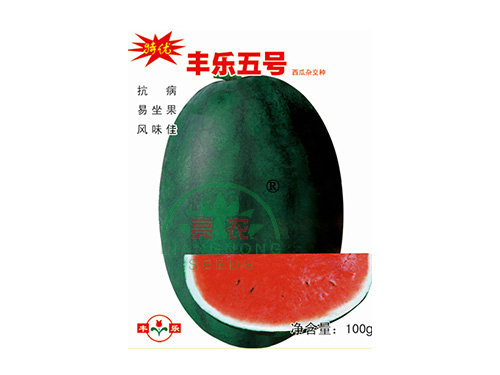 特优丰乐5号